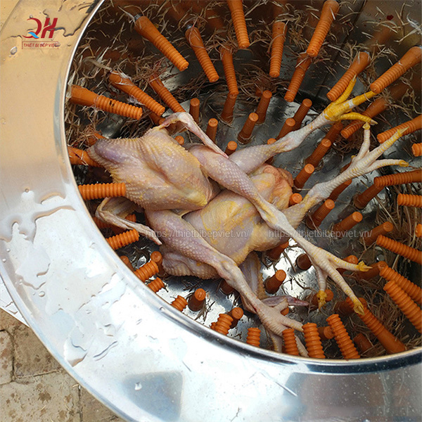 Máy vặt lông gà giúp giữ nguyên chất lượng hình dáng con gà