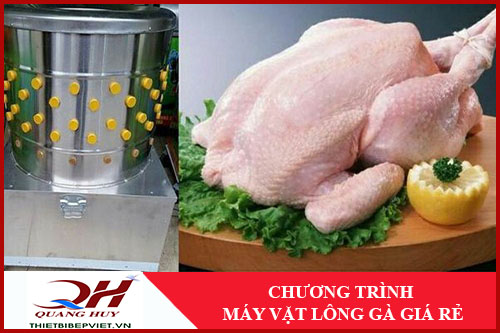 Máy Vặt Lông Gà Giá Rẻ