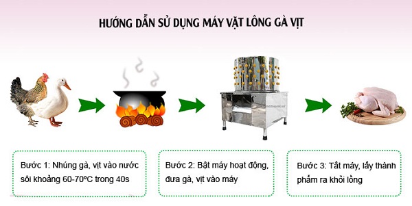 Hướng dẫn sử dụng máy vặt lông gà Quang Huy