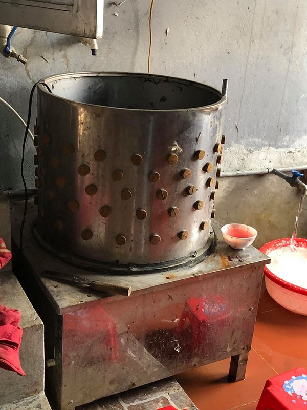 Máy vặt lông gà chất lượng kém