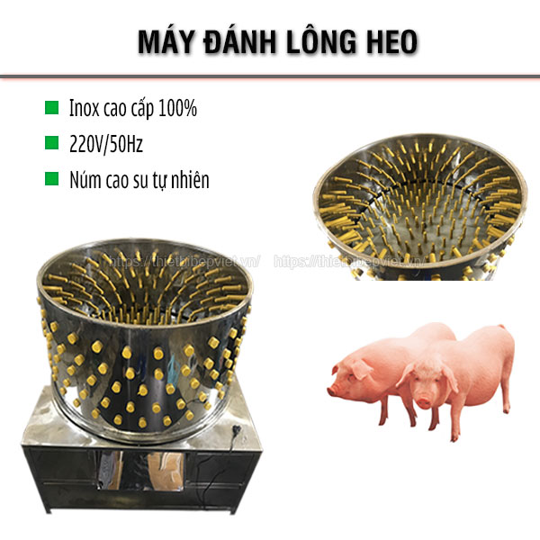 Máy đánh lông heo lợn Quang Huy