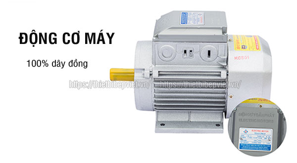 máy vặt lông thỏ - công cụ hỗ trợ đắc lực cho quán ăn, nhà hàng