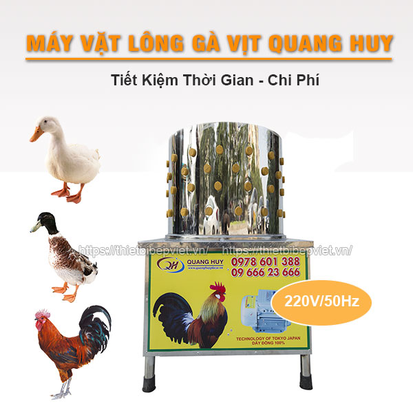 Máy vặt lông gà vịt Quang Huy