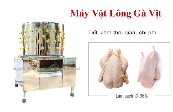 MÃ¡y váº·t lÃ´ng gÃ  vá»t Quang Huy
