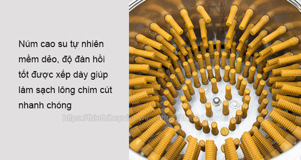 máy vặt lông chim cút quang huy có tốt không