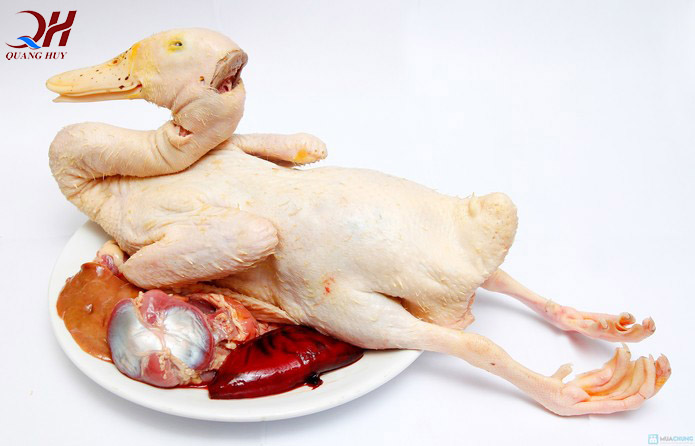 vặt lông vịt bằng máy nhổ lông vịt có sạch không? Câu trả lời là: sạch sành sanh, đạt 90-95% vặt lông vịt bằng máy nhổ lông vịt có sạch không? Câu trả lời là: sạch sành sanh, đạt 90-95%