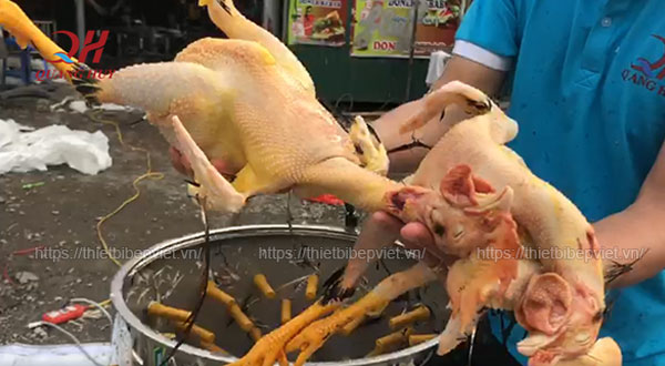 Test thử máy vặt lông gà vịt Quang Huy