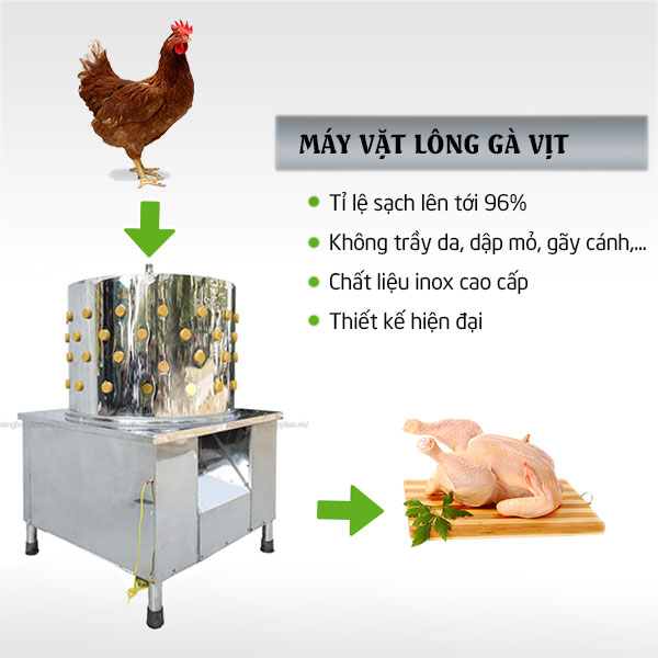 Công dụng nổi bật của máy làm lông gà