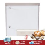Tủ hấp bánh bao mini 4 khay điện