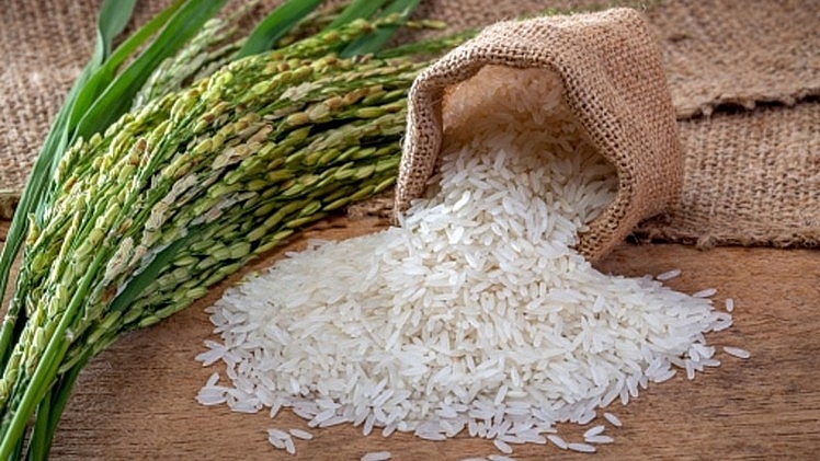 Chọn loại gạo tốt để cơm bạn được ngon