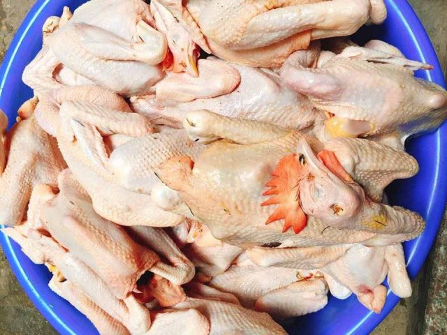 Làm sạch nhanh số lượng lớn