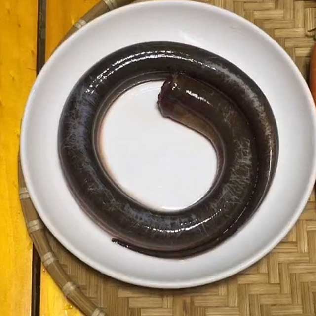 Sơ chế lươn, cách làm sạch lươn nấu cháo