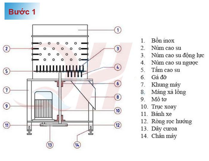 Bước 1: Các kỹ sư phát thảo sơ đồ máy vặt lông gà