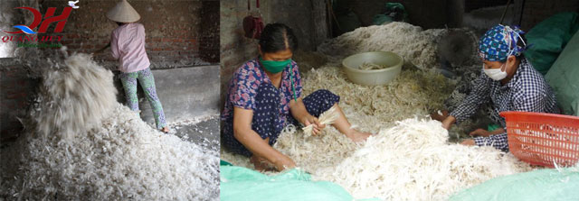 Làm giàu nhanh chóng nhờ thu mua lông vịt, kiếm trăm triệu mỗi tháng