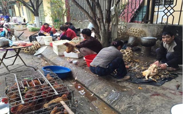 Máy gà mini thay thế phương pháp vặt lông truyền thống