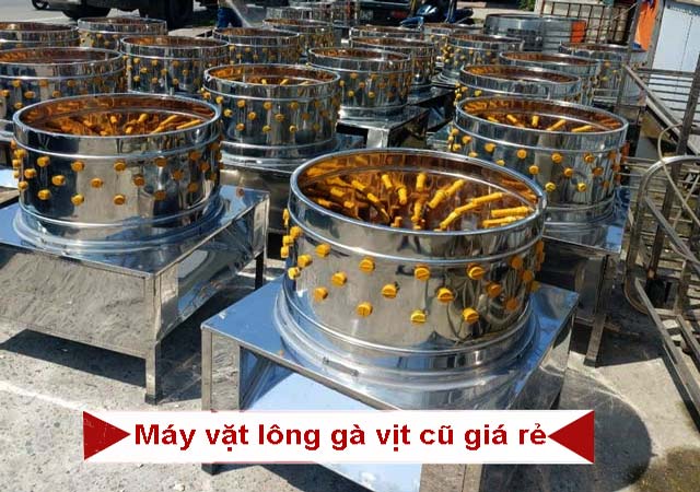 Mua máy vặt lông gà cũ giá rẻ NÊN hay KHÔNG NÊN?