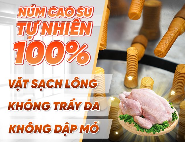 Máy gà mini vặt sạch lông hoàn toàn