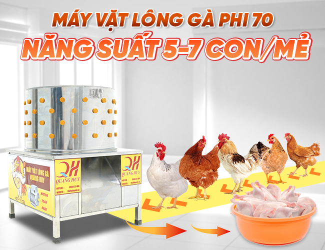 Hình ảnh máy phi 70