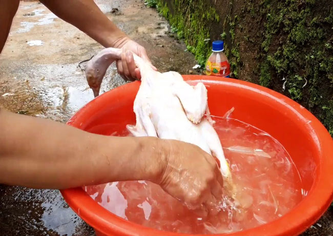 Nhổ lông vịt bằng nước rửa chén: Nhanh, Tiện lợi, Siêu sạch